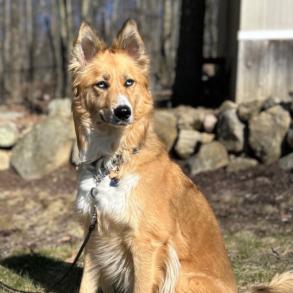 Meet your Posher, Jessica - Picture 1 of 1